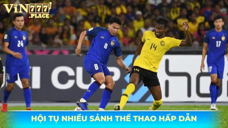 Hội tụ nhiều giải đấu thể thao hấp dẫn