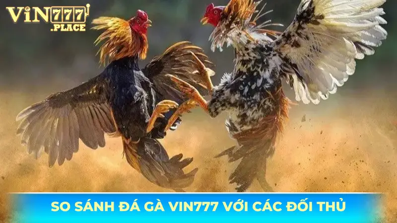 đá gà Vin777 So sánh sảnh đá gà Vin777 với các đối thủ