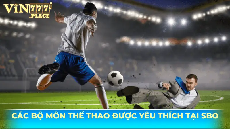 Các bộ môn thể thao được yêu thích tại Vin777
