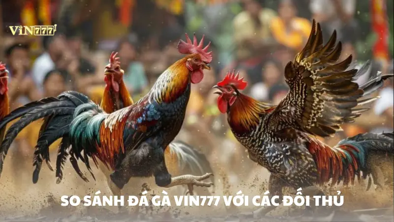 đá gà Vin777 So sánh sảnh đá gà Vin777 với các đối thủ