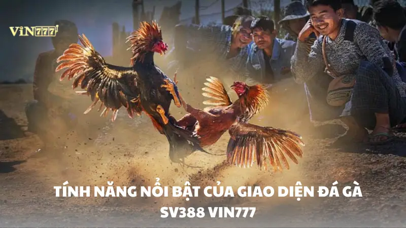 đá gà SV388 Vin777 Tính năng nổi bật của giao diện đá gà SV388 VIN777
